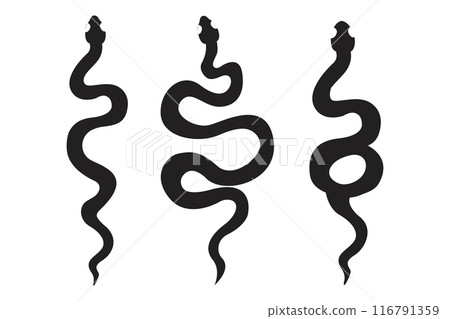 Celestial serpent snake, esoteric tarot or tattoo mystery sacred symbol. Linocut style boho. Occultism and religion, sacred rites and sacrifice. Reptile 116791359