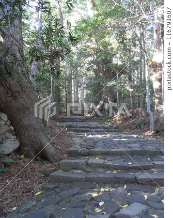 Kumano Kodo·Daimonzaka Kumano Kodo·Daimonzaka 116791607