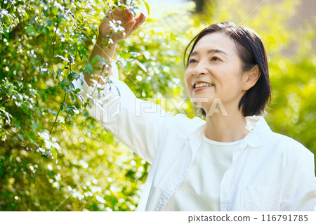 Middle-aged woman's beauty in the sunlight Middle-aged woman's beauty in the sunlight 116791785