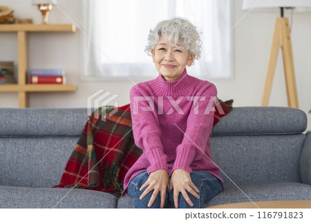 Smiling senior woman sitting on sofa Smiling senior woman sitting on sofa 116791823