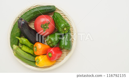 夏季蔬菜什錦（黃瓜、茄子、番茄、青椒、紅辣椒、秋葵、辣椒） 116792135