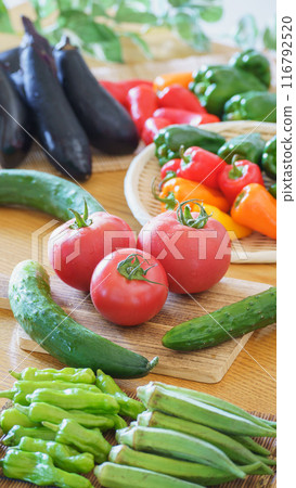 夏季蔬菜(黃瓜、茄子、番茄、青椒、辣椒、秋葵、辣椒) 夏季蔬菜(黃瓜、茄子、番茄、青椒、辣椒、秋葵、辣椒) 116792520