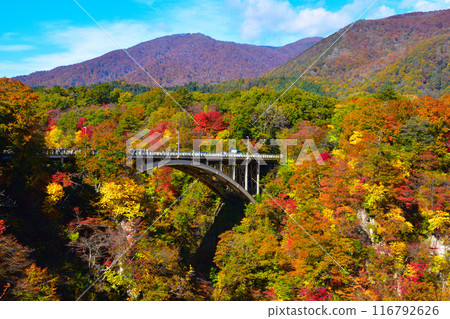 Autumn: Naruko Gorge, Ofukazawa Bridge 116792626