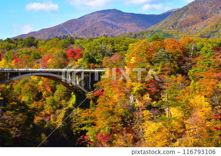 Autumn: Naruko Gorge, Ofukazawa Bridge Autumn: Naruko Gorge, Ofukazawa Bridge 116793106