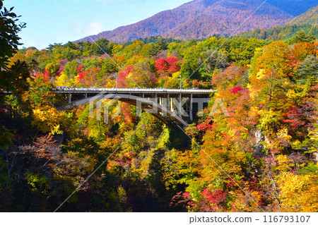 Autumn: Naruko Gorge, Ofukazawa Bridge Autumn: Naruko Gorge, Ofukazawa Bridge 116793107