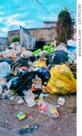 Village garbage dump Village garbage dump 116793199