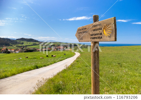 Wooden milestone indicating  route of the Camino de Santiago. 116793206