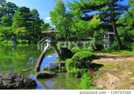 [石川縣]晴天的兼六園 116793580