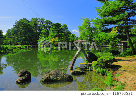 [石川縣]晴天的兼六園 116793581
