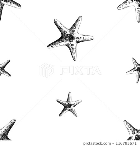 Textured five-pointed starfish. Marine illustration of the underwater world hand drawn in black ink graphically. Vector seamless pattern, pattern, ornament, simple in EPS. Textured five-pointed starfish. Marine illustration of the underwater world hand drawn in black ink graphically. Vector seamless pattern, pattern, ornament, simple in EPS. 116793671