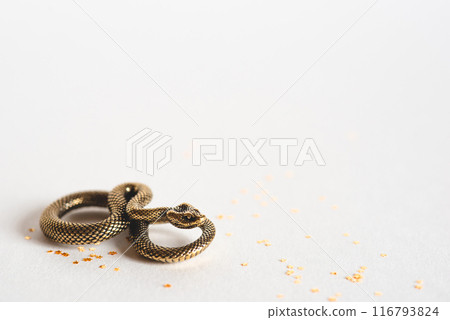 Bronze snake figurine on a white background. The symbol of 2025. Happy Chinese New Year. 116793824