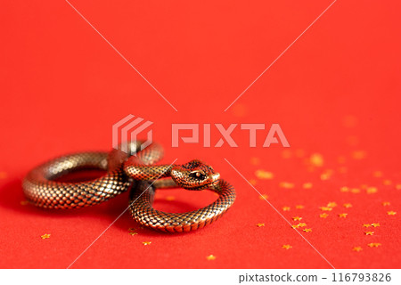 Bronze snake figurine on a red background. The symbol of 2025. Happy Chinese New Year. 116793826