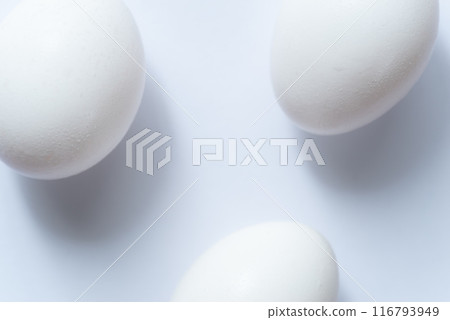 Eggs on a white background Eggs on a white background 116793949