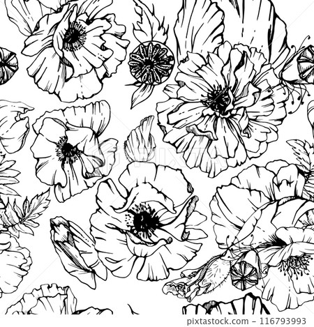 Hand drawn vector graphic botanical illustration flowers leaves. Red poppy papaver, stems buds seedpods. Seamless pattern isolated white background. Design wedding, paper, remembrance day stationery 116793993