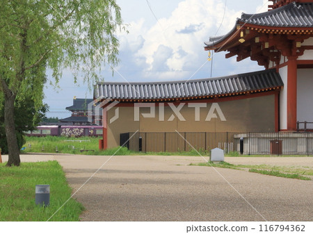 When I saw the First Daigokuden Hall from the side of the Suzaku Gate at the Heijo Palace ruins, the "Limited Express Aoniyoshi" passed on the Kintetsu Nara Line. 116794362