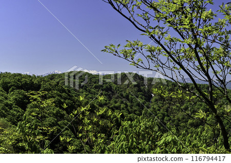Fresh greenery on Mount Io 116794417