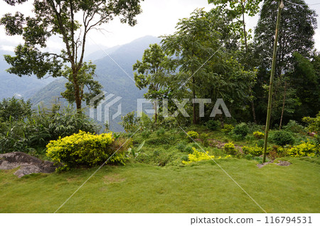 Mountain View Point of Sikkim Offbeat Place Lungchok Mountain View Point of Sikkim Offbeat Place Lungchok 116794531