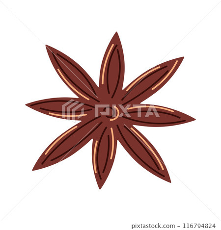Anise star aroma seasoning in flat style. Spicy star cinnamon badyan for menu design. Vector illustration isolated on a white background. 116794824