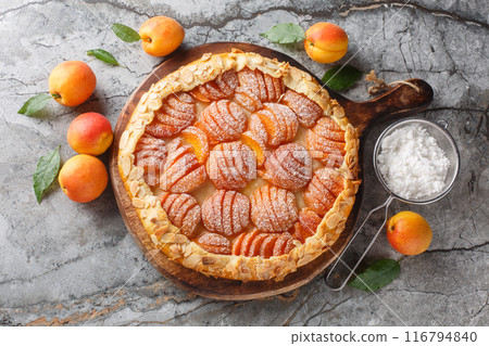 French Fresh apricot galette pie cake with almonds and powdered sugar close-up on a wooden board. Horizontal top view 116794840