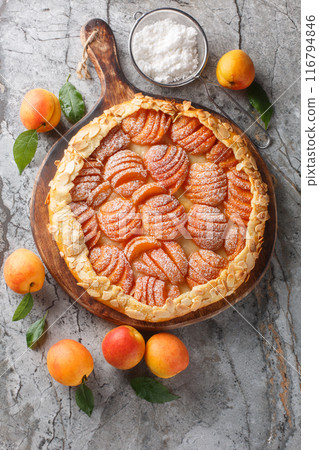 Apricot almond whole meal gallette cake on board closeup. Vertical top view 116794846