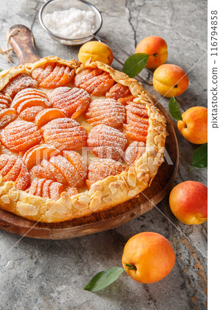 Apricot almond whole meal gallette cake on board closeup. Vertical 116794858