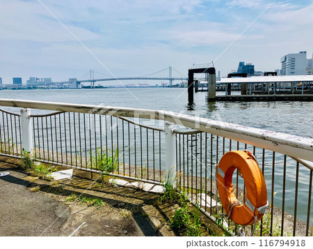 東京灣_從竹芝客船碼頭看到的東京灣_日出碼頭 116794918