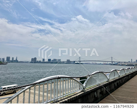 東京灣_竹芝客船碼頭_從棧道上看到的東京灣_走向彩虹橋 116794920