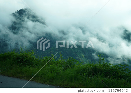 Road and Greenery Nature of Himalayan Range Village 6 116794942