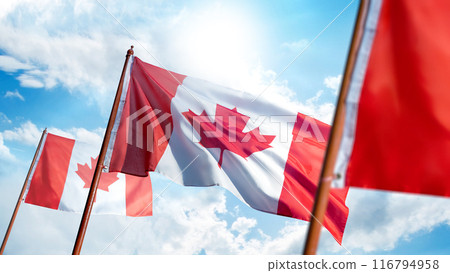 A Canadian flag is flying in the sky on a sunny day 116794958