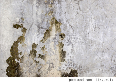 The wall is covered in cracks and has a greenish tint The wall is covered in cracks and has a greenish tint 116795015