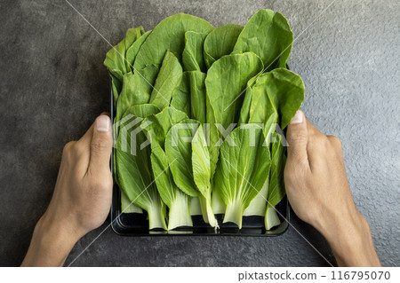 A person is holding a tray of green vegetables 116795070