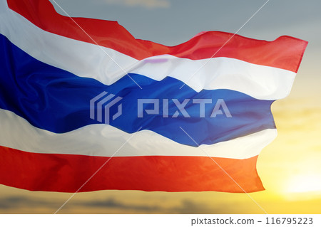 A flag of Thailand is flying in the sky 116795223