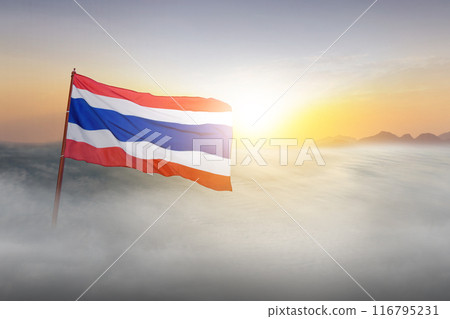 A flag of Thailand is flying in the sky 116795231