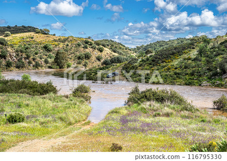 Hiking along the river Vascao located near Gioes in the Algarve region in Portugal. 116795330