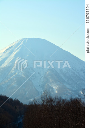 雄偉壯麗的蝦夷富士“獅子山和羊蹄山” 116795394