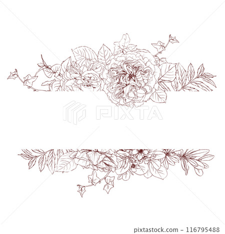 Hand drawn pencil graphics illustration of vintage flowers frame 116795488