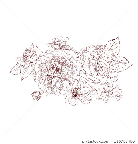 Hand drawn pencil graphics illustration bouquet of vintage flowers 116795490