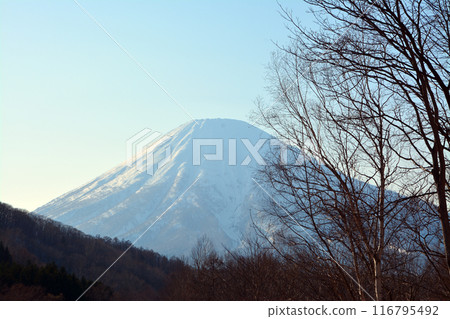 雄偉壯麗的蝦夷富士“獅子山和羊蹄山” 116795492