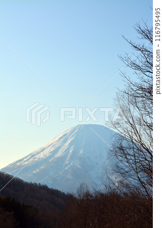 The graceful and magnificent Ezo Fuji "Shiribeshi Mountains and Rear Yotei Mountain" The graceful and magnificent Ezo Fuji "Shiribeshi Mountains and Rear Yotei Mountain" 116795495