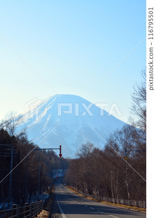 雄偉壯麗的蝦夷富士“獅子山和羊蹄山” 116795501