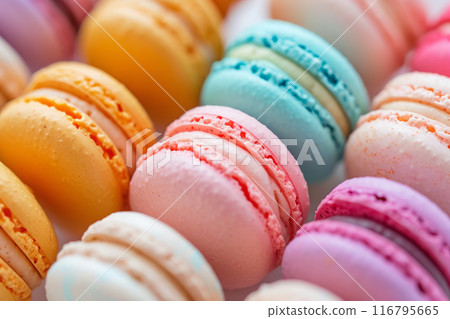 Colored macarons in rows, close-up. Confectionery products 116795665