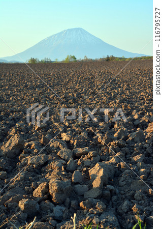 The graceful and magnificent Ezo Fuji "Shiribeshi Mountains and Rear Yotei Mountain" 116795727