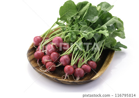 Fresh radish (daikon radish) on a white background Fresh radish (daikon radish) on a white background 116795814