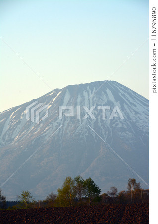雄偉壯麗的蝦夷富士“獅子山和羊蹄山” 雄偉壯麗的蝦夷富士“獅子山和羊蹄山” 116795890