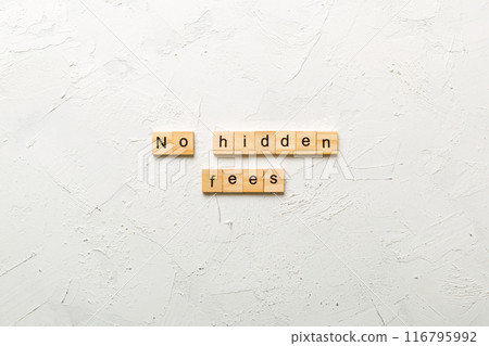 No hidden fees word written on wood block. No hidden fees text on cement table for your desing, Top view concept 116795992