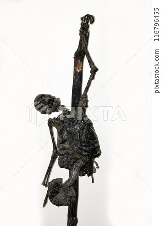 a frightening human skeleton impaled 116796455