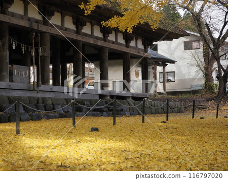 The shrine's worship hall, with its beautiful yellow ginkgo leaves, at Shingu Kumano Shrine, Nagadoko 116797020