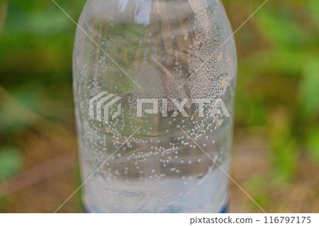 Air bubbles in the water that appeared inside a transparent plastic bottle in warm weather against the background of a green blurred background of vegetation 116797175