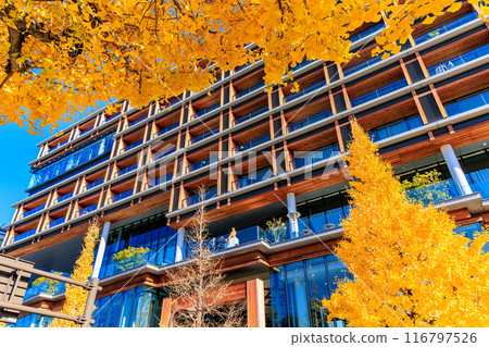 東京澀谷區原宿車站周圍的秋葉 116797526