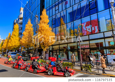 東京澀谷區原宿車站周圍的秋葉 116797535